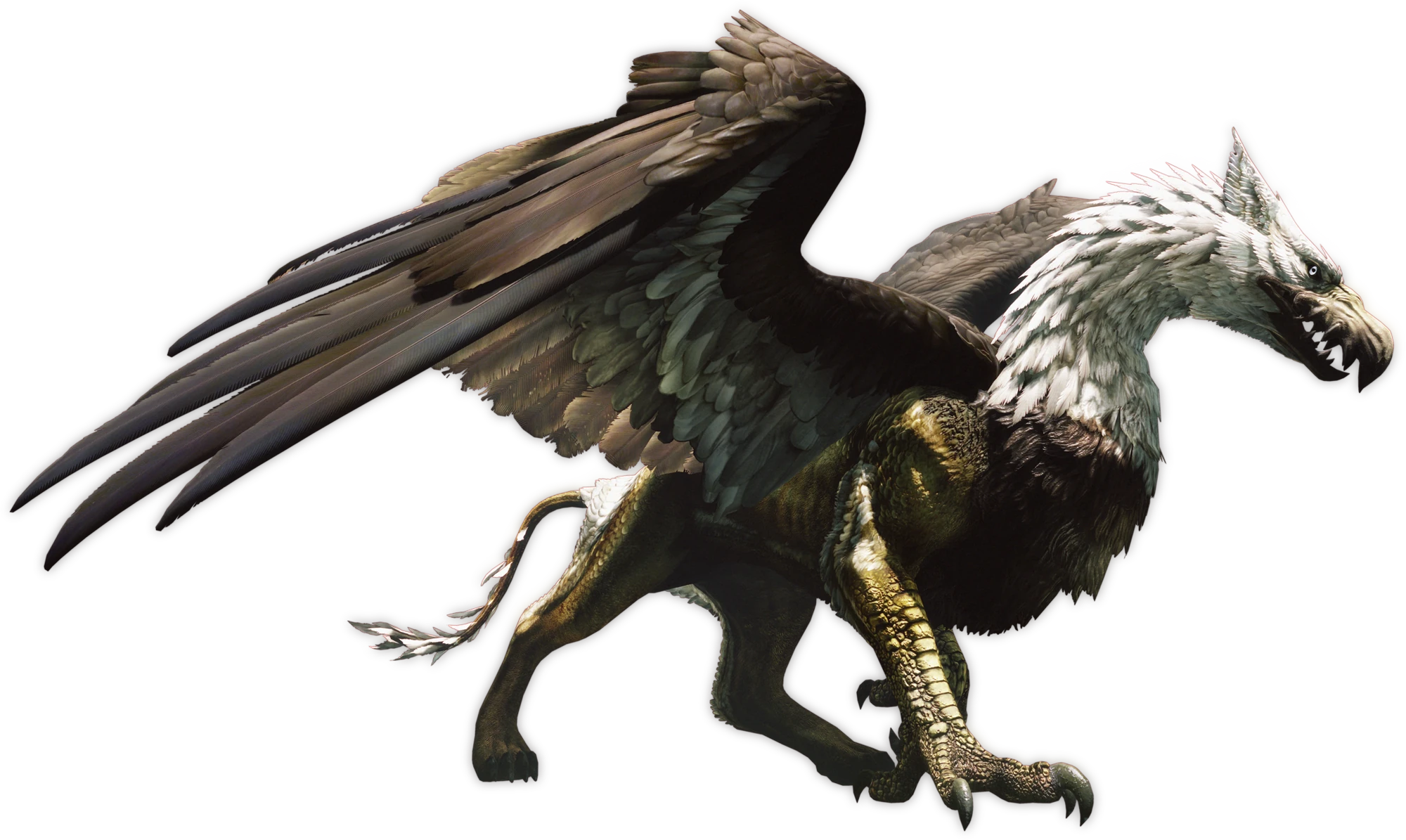 Griffin Dragon S Dogma Wiki Fandom