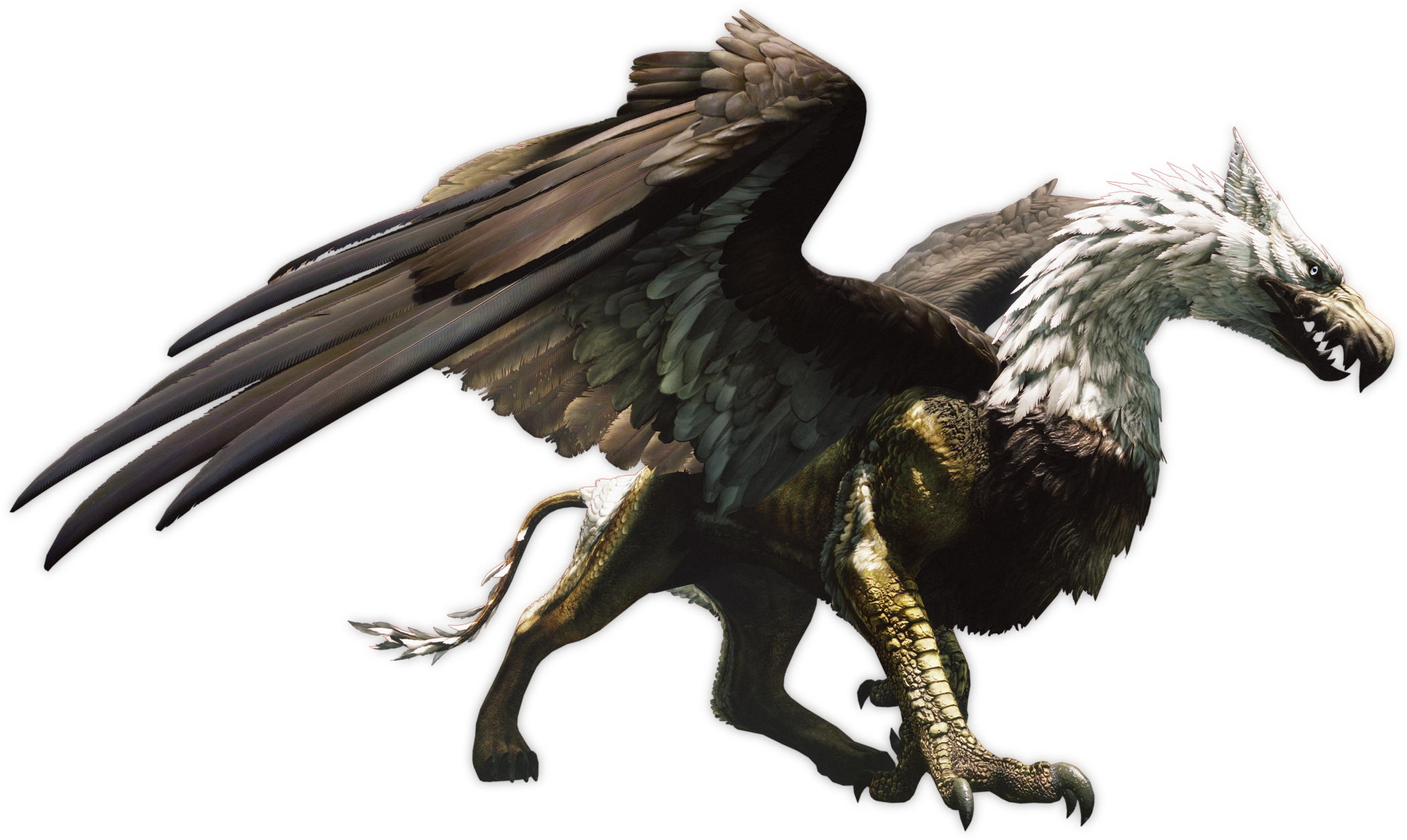 Griffin Dragon S Dogma Wiki Fandom