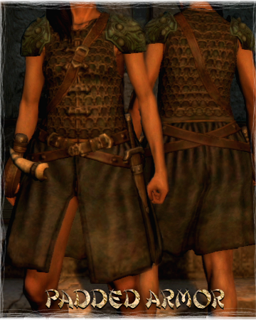 Padded Armor Dragon S Dogma Wiki Fandom