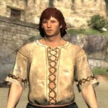 Arisen Dragon S Dogma Wiki Fandom