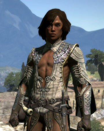 Trophy Armor Set Dragon S Dogma Wiki Fandom