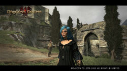 Dragon`s Dogma - Anime - AniDB