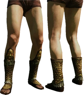 Schuppenbeinschienen