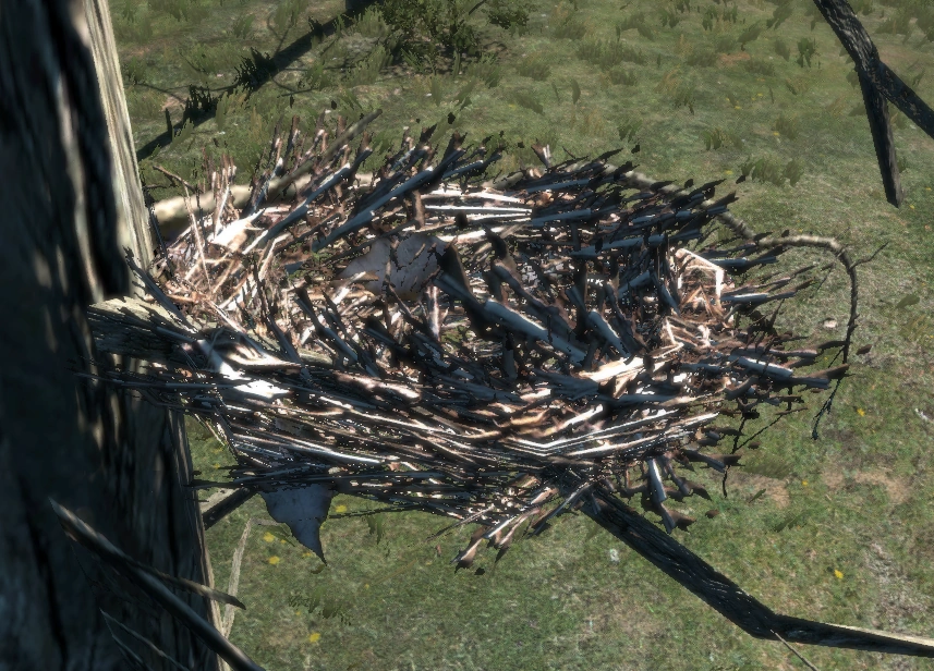 Bird Nest Dragon's Dogma Wiki Fandom