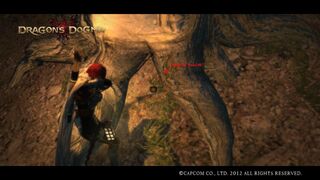 Dragons Dogma : From a Different Sky 39 - 40 