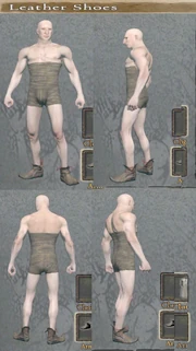 Leather shoes details