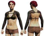 Marscharmschweibl.png (455 KB)