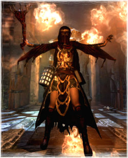 Carrion Armor Set Dragon S Dogma Wiki Fandom Carrion Armor Set Dragon S Dogma Wiki Fandom
