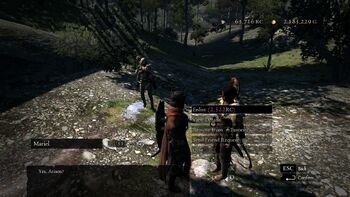 Wandering Pawn day