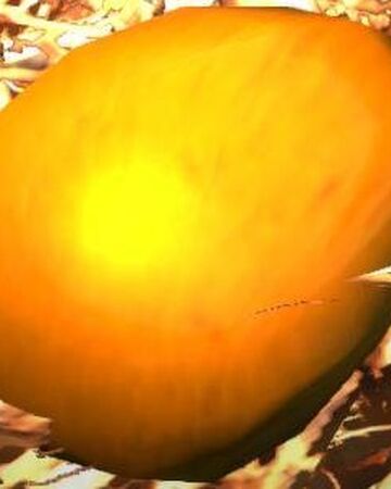 Golden Egg Dragon S Dogma Wiki Fandom