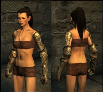 Dragon's Dogma: Gryphic Armor 