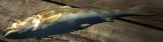 Dragon's Dogma - Small Fish