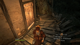 Witchwood Dragon S Dogma Wiki Fandom Witchwood Dragon S Dogma Wiki Fandom