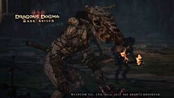 Greater Goblin, Dragon's Dogma Wiki