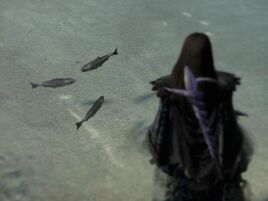 Fish pool