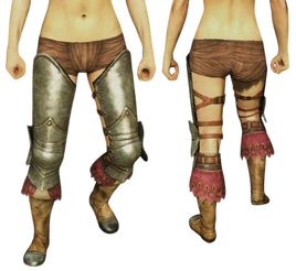 EiserneSchenkelschützer