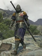 Fake guard-002.jpg (29 KB)