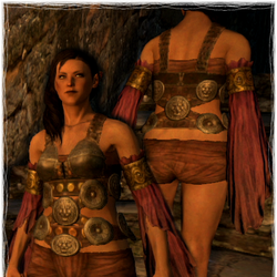 Category Female Armor Dragon S Dogma Wiki Fandom
