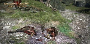 The deceased ox at the crossroads