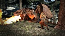 Dragonsdogma.wikia.com ▷ Observe Dragon S Dogma Wiki A News