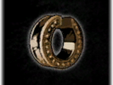 Warrior's Ring