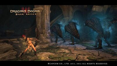 Sexy Strider : DragonsDogma