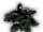 Cragwort
