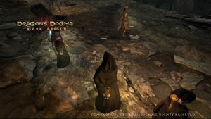 Ten Parcels and the Confidential Letter in Soulflayer Canyon