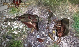 The badge near the remains of the dead ox (right portion, near the ribs)