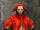Set of Jester's Motley