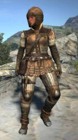 Leather armor set