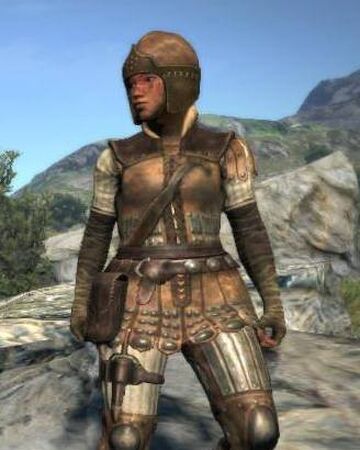 Leather Armor Set Dragon S Dogma Wiki Fandom