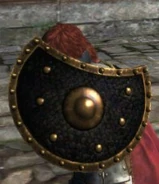 WikiFeatherLightPelta.jpg (52 KB)