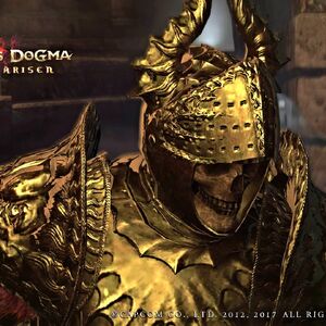 Golden Knight Dragon S Dogma Wiki Fandom