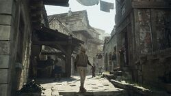 Dragonsdogma.wikia.com ▷ Observe Dragon S Dogma Wiki A News