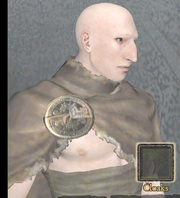 Leather cape medalion