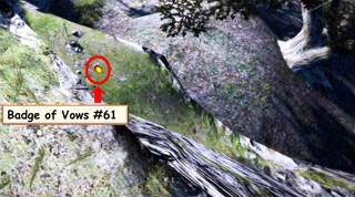 View of the badge and ledge from the cliff above (badge enlarged)