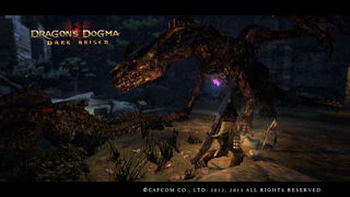 Dragon's Dogma: Actualizing the World, by Dragonforged