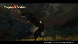 Succubus Dragon S Dogma Wiki Fandom