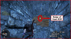 Badge of Vows 39, Dragon's Dogma Wiki