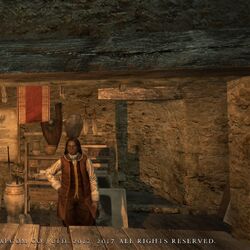 Category Gran Soren Dragon S Dogma Wiki Fandom