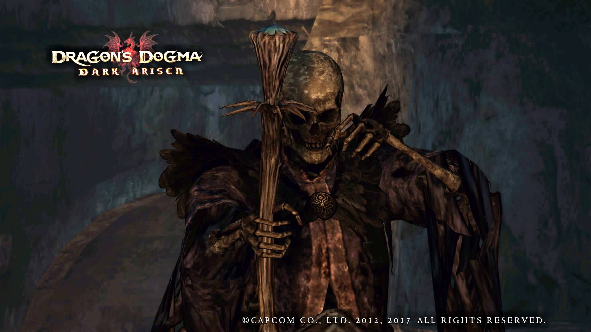 Skeleton Sorcerer Dragon S Dogma Wiki Fandom