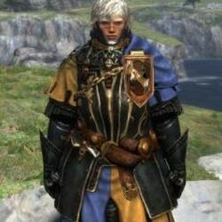 Category Dark Arisen Male Armor Dragon S Dogma Wiki Fandom