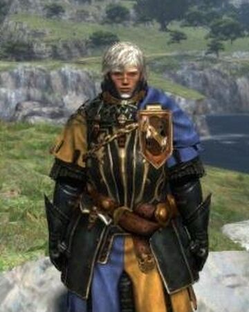 Set Of Voldoan Armor Dragon S Dogma Wiki Fandom
