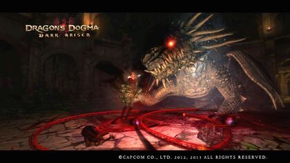 New screenshots from the official website! : r/DragonsDogma