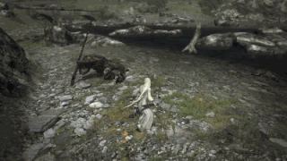 Scension saurian block.gif (4,97 МБ) Хотя его можно заблокировать, Вознесение в конечном итоге пройдет за блоком