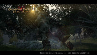 Dragon's Dogma Dark Arisen Screenshot CycLeg