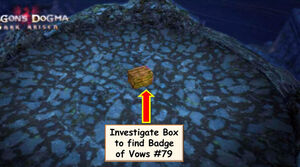 The badge is hidden under a box in the center of the tower. Investigate this box without breaking it to obtain the badge.