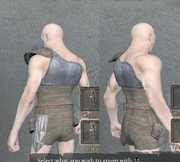 Chestguard hip details
