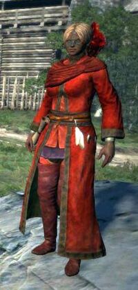 Set of Salvation Robes, Dragon's Dogma Wiki